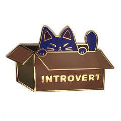 Introvert Pin